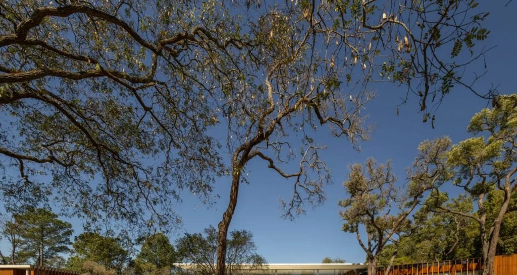 Casa de fim de semana preserva árvore centenária e adota volumes modernistas no interior de SP